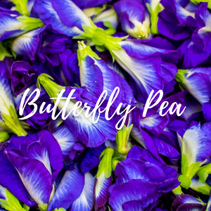 Butterfly Pea 16 oz