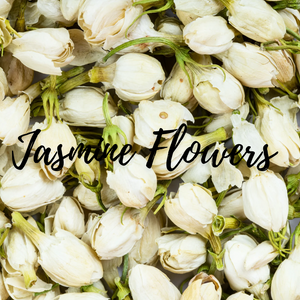 Jasmine Flowers 16 oz